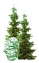 FIRS Index icon